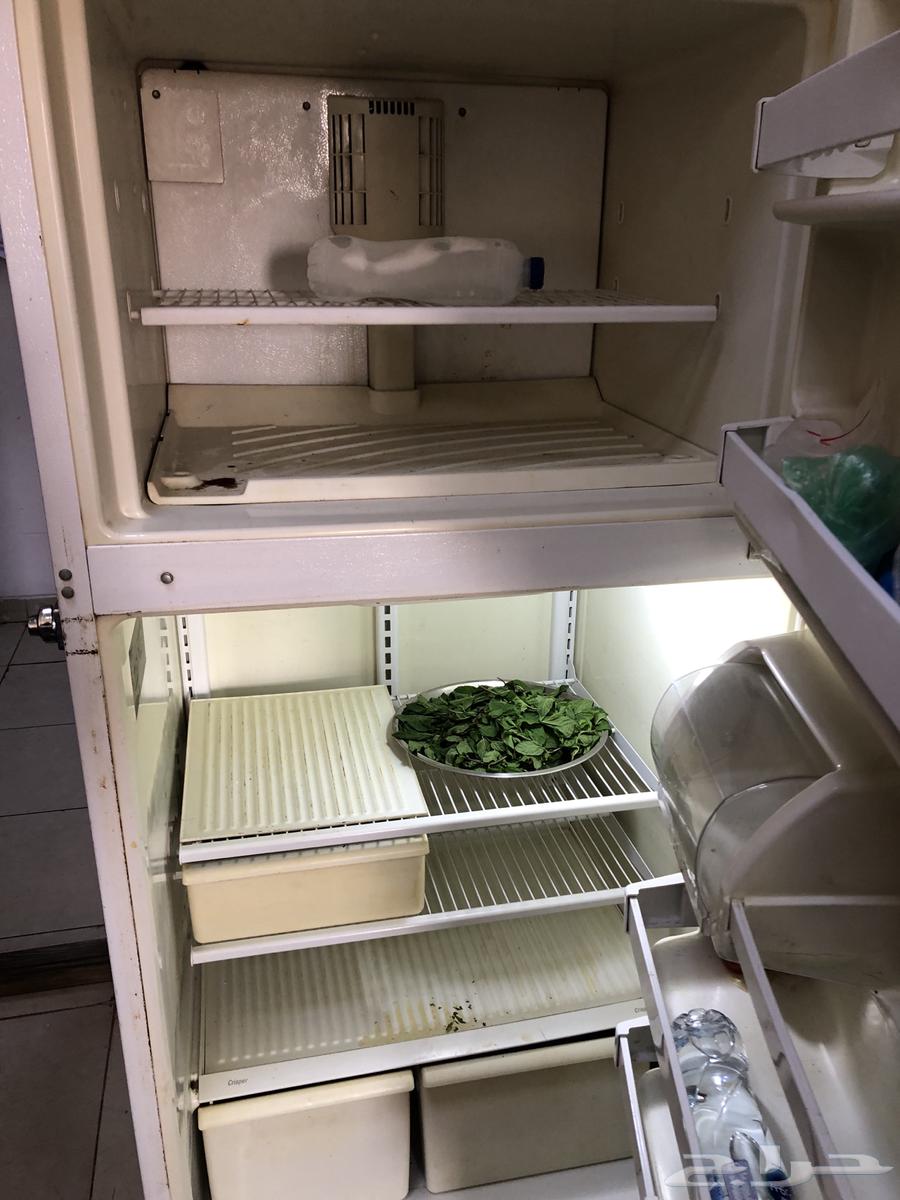 Refrigerator, TV, office chair, and vacuum cleaner63148200920451113