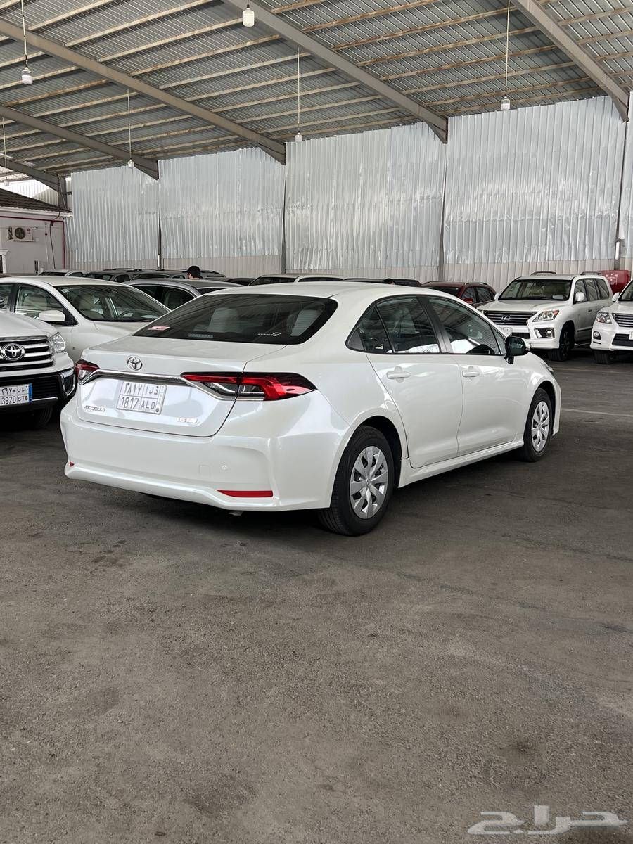 Korla 2020 Tematica (( Sold ))63149146574467111