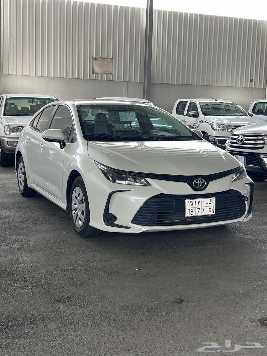 Korla 2020 Tematica (( Sold ))63149146574467113
