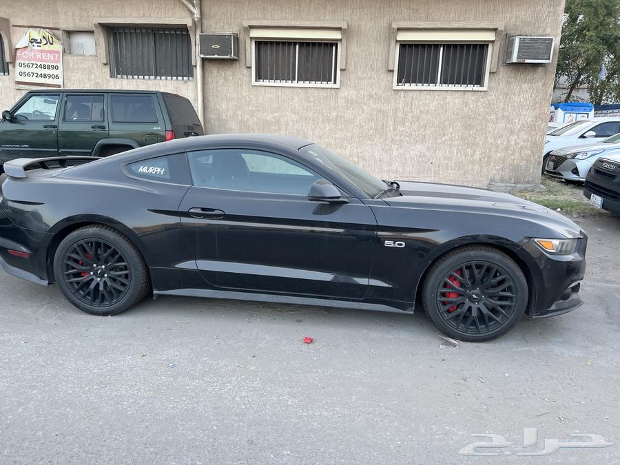 موستنق 2015 GT63159290813825114