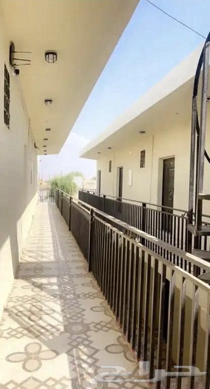 شقة عزاب في الدرب63011205467010111