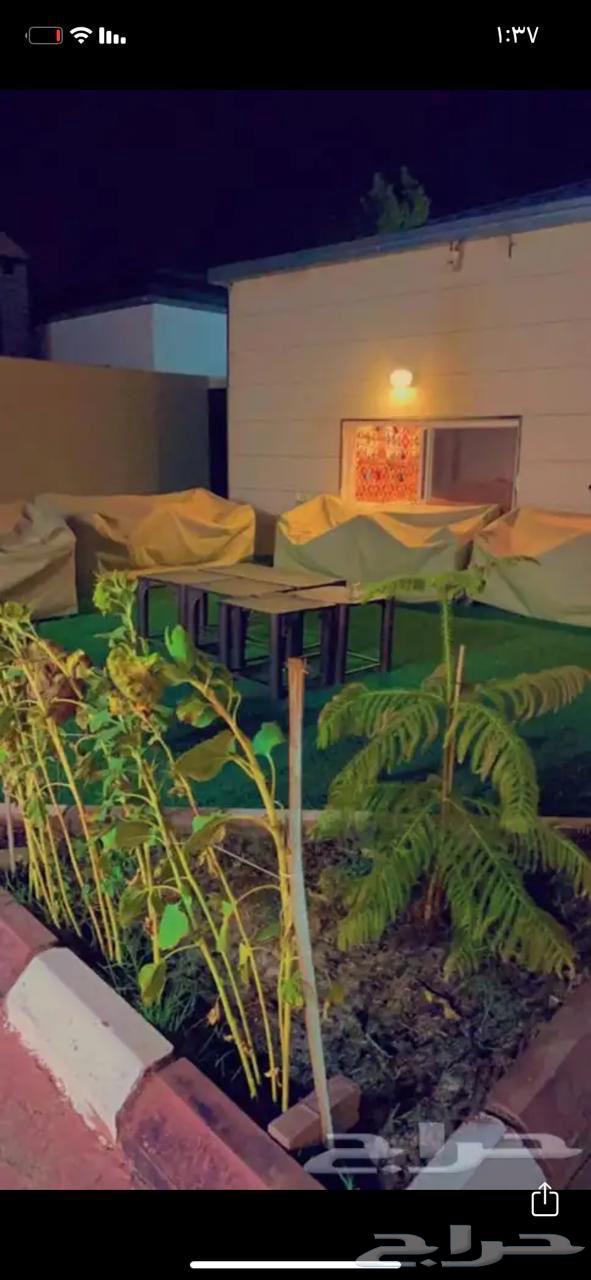 Two rest areas on a farm in Al-Wasit district with an area of 2265 square meters according to a legal document63004082759170111