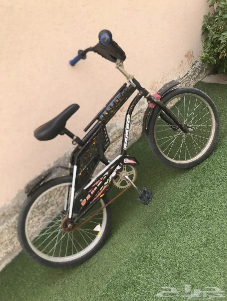 سيكل رامبو السعر 15063098189138819112