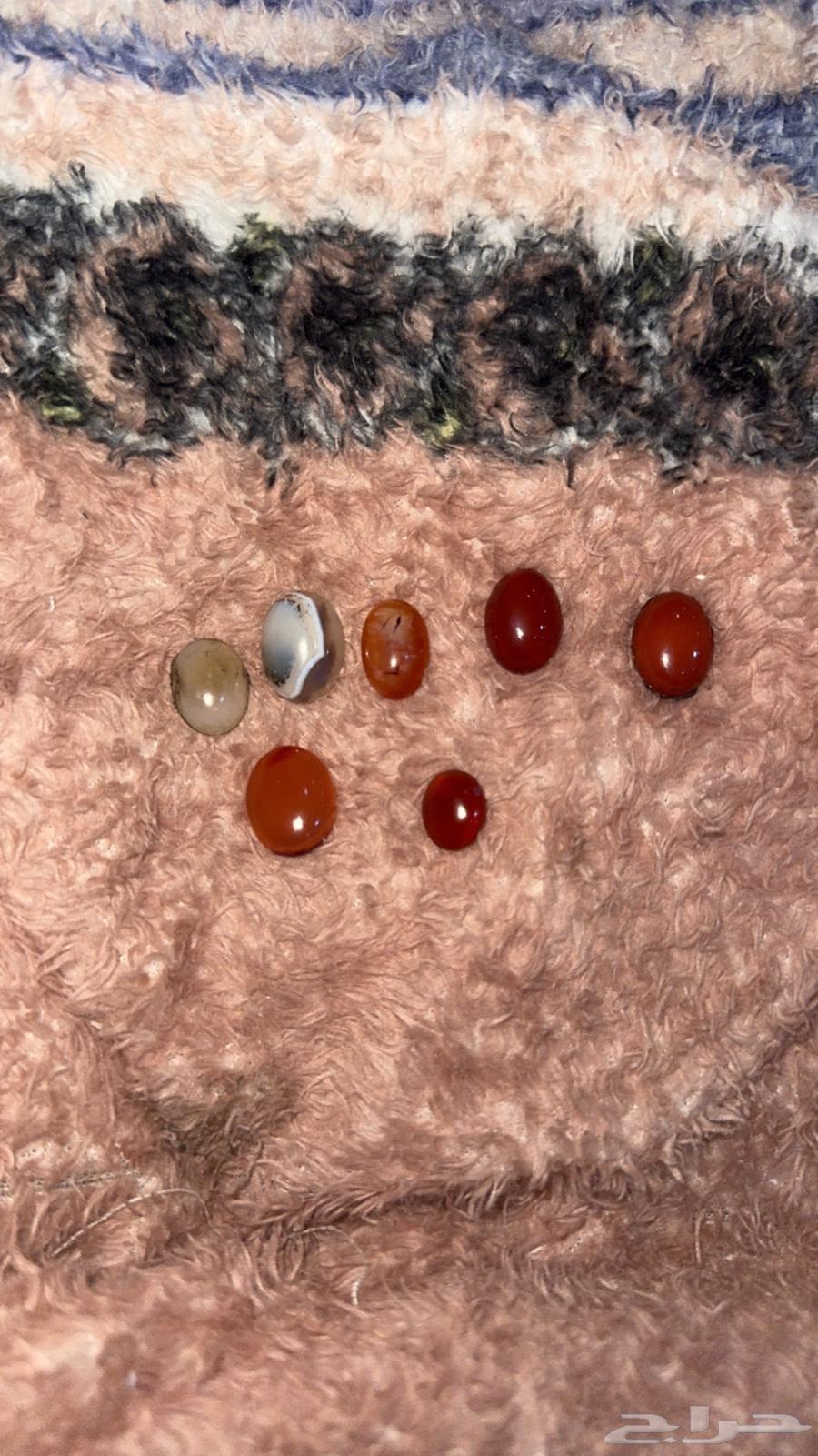 Fossils or ring stones63477850538755112