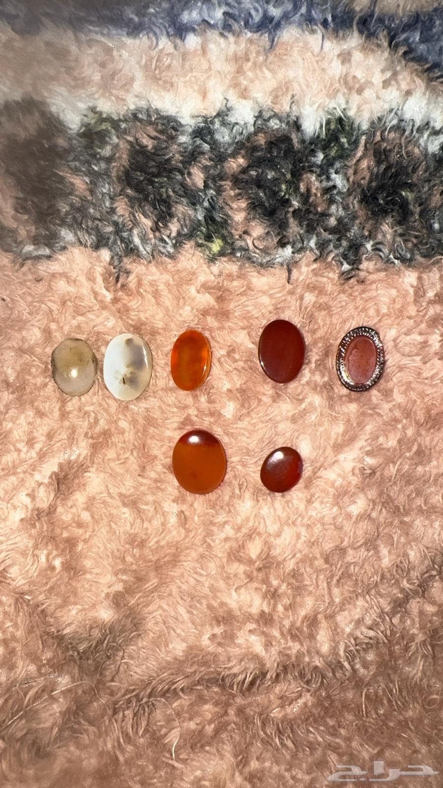 Fossils or ring stones63477850538755111