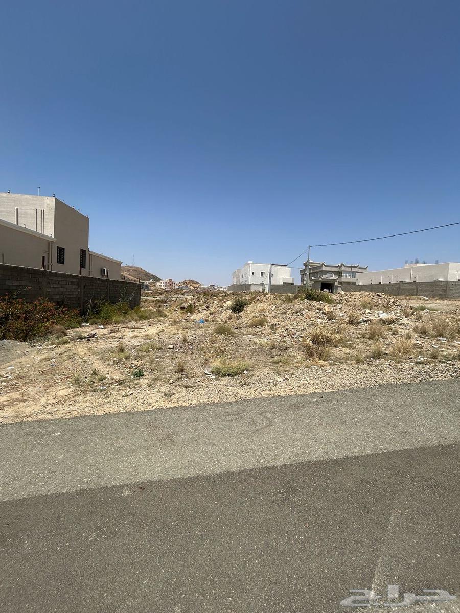 Land for sale in Al-Baha city63014277142146113