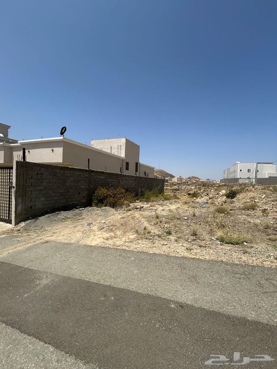 Land for sale in Al-Baha city63014277142146114