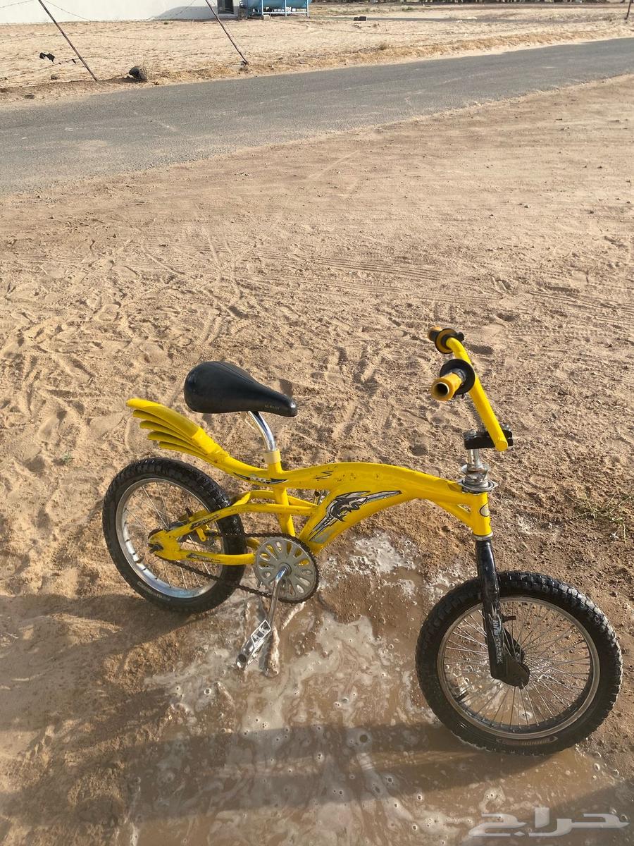 سيكل كوبرا63095235076097112
