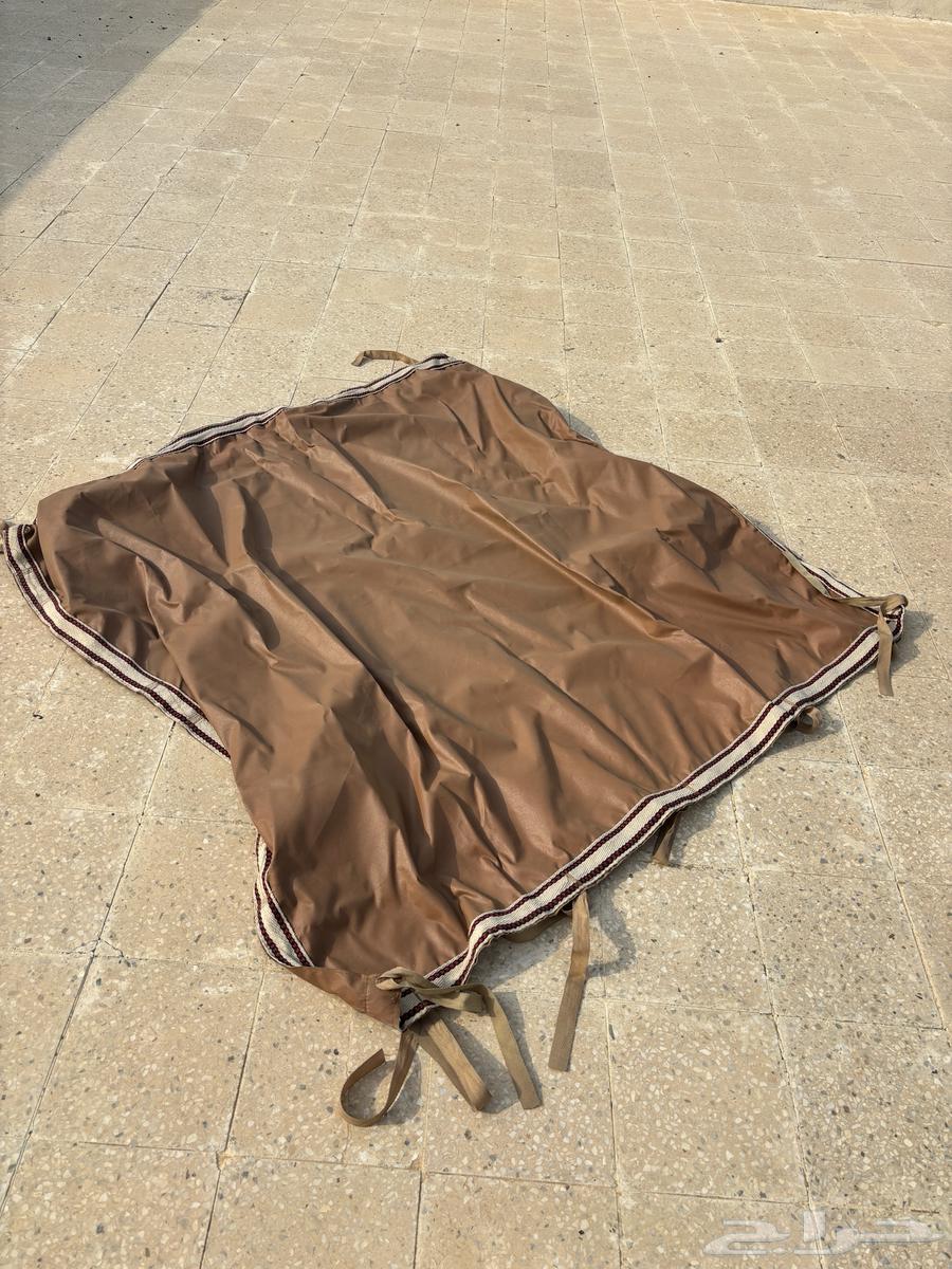 عندي طربال ددسن غمرتين63146301510913111