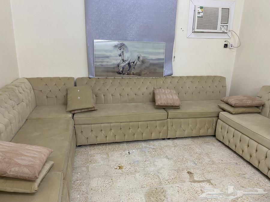 Council. Hall63096352335747111