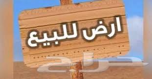 Land for sale in Al-Qawara630147501850901126