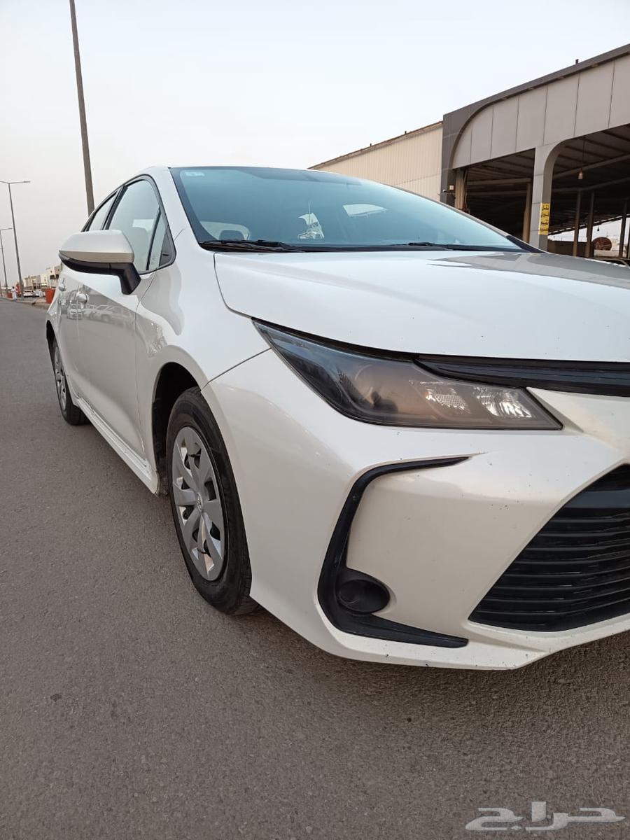 Corolla 202063147256232962114