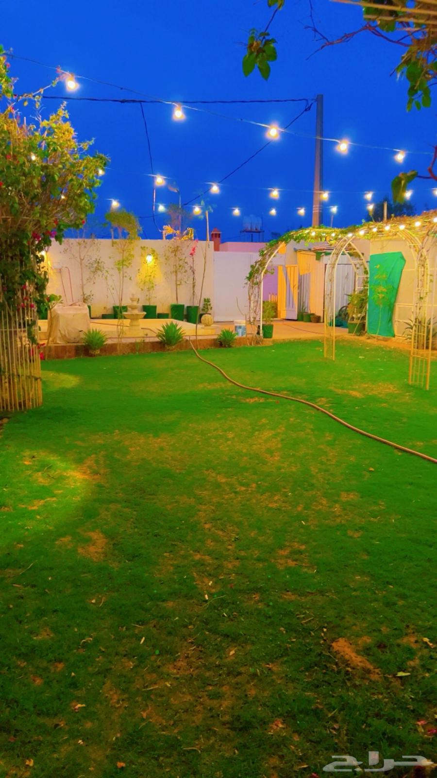 شاليه ايجار يومي ( مغري )63014750471554113