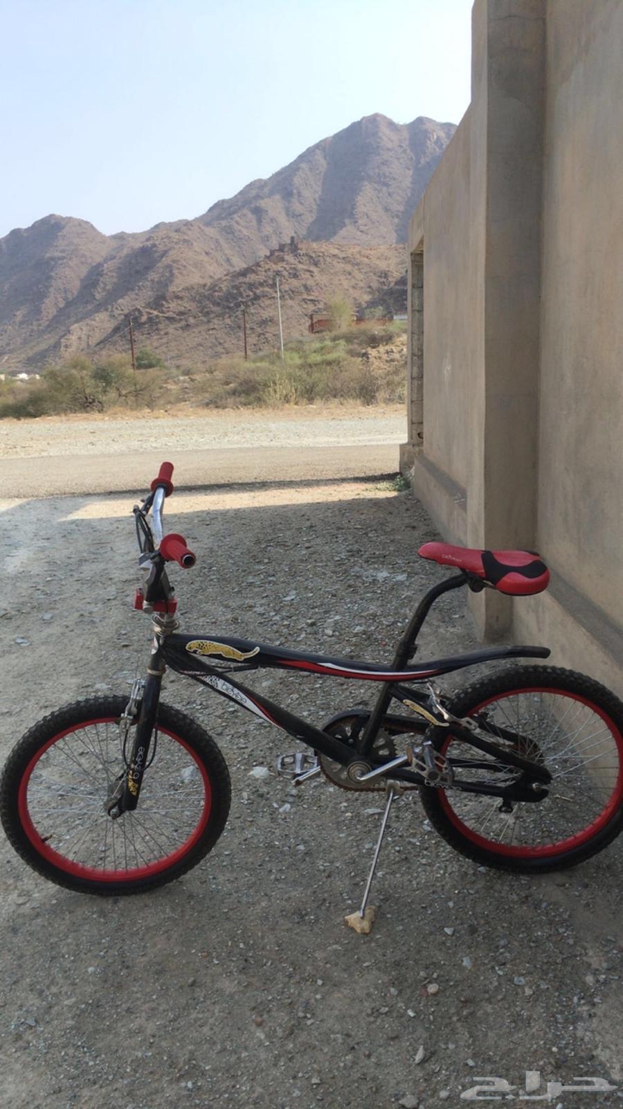 Cobra bicycle 20 inch, no complaints.63093750110465112