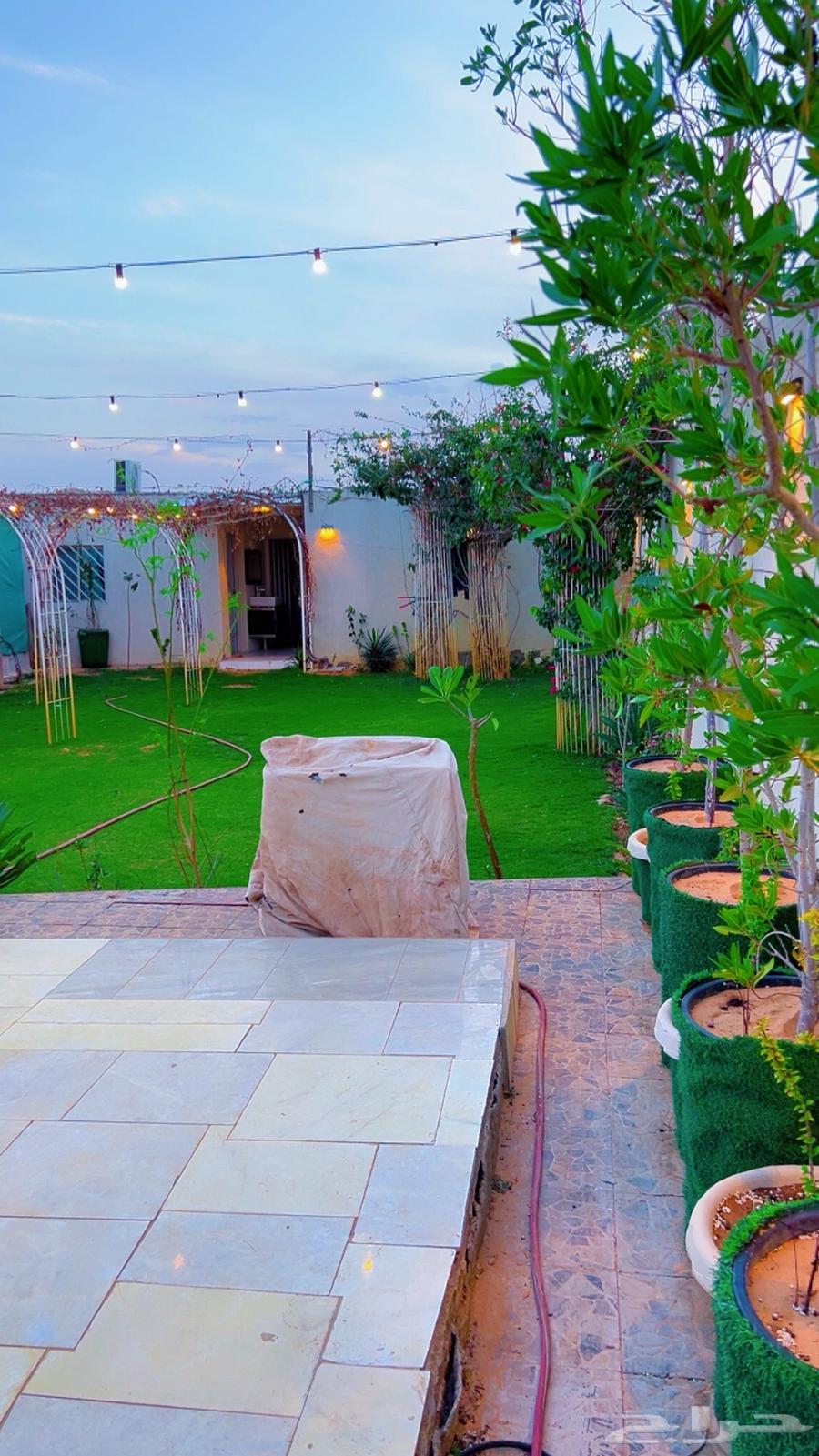 شاليه ايجار يومي ( مغري )63014750471554111