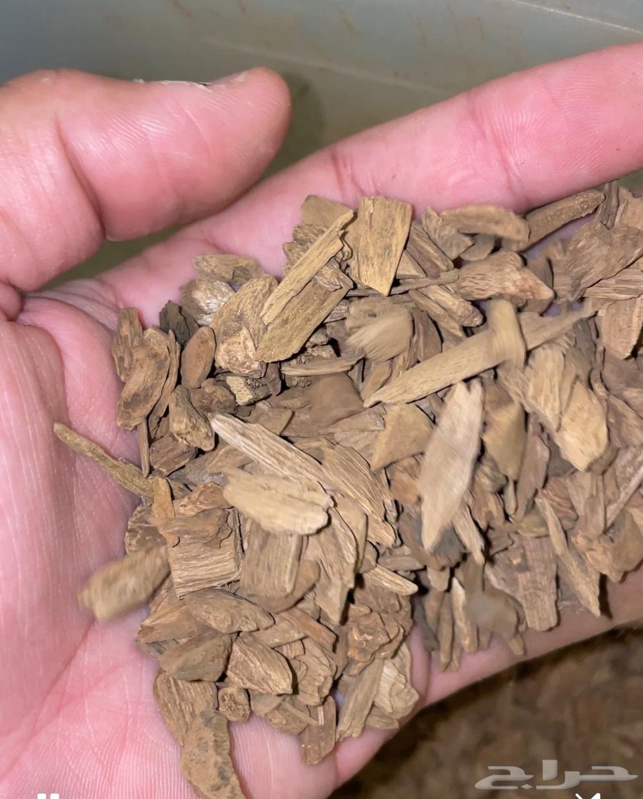 Natural and conditional incense63093734349443113