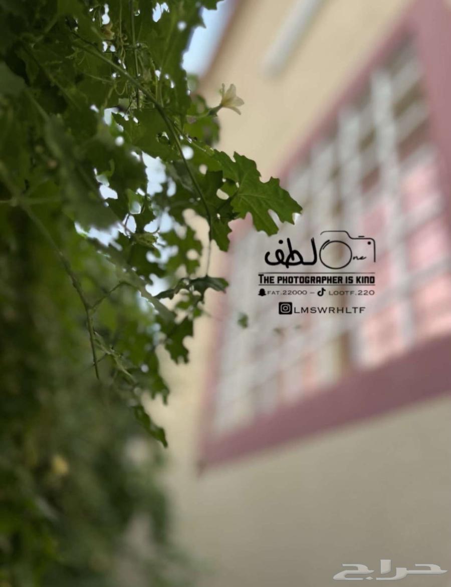 كاميرا نيكون63092603127809113