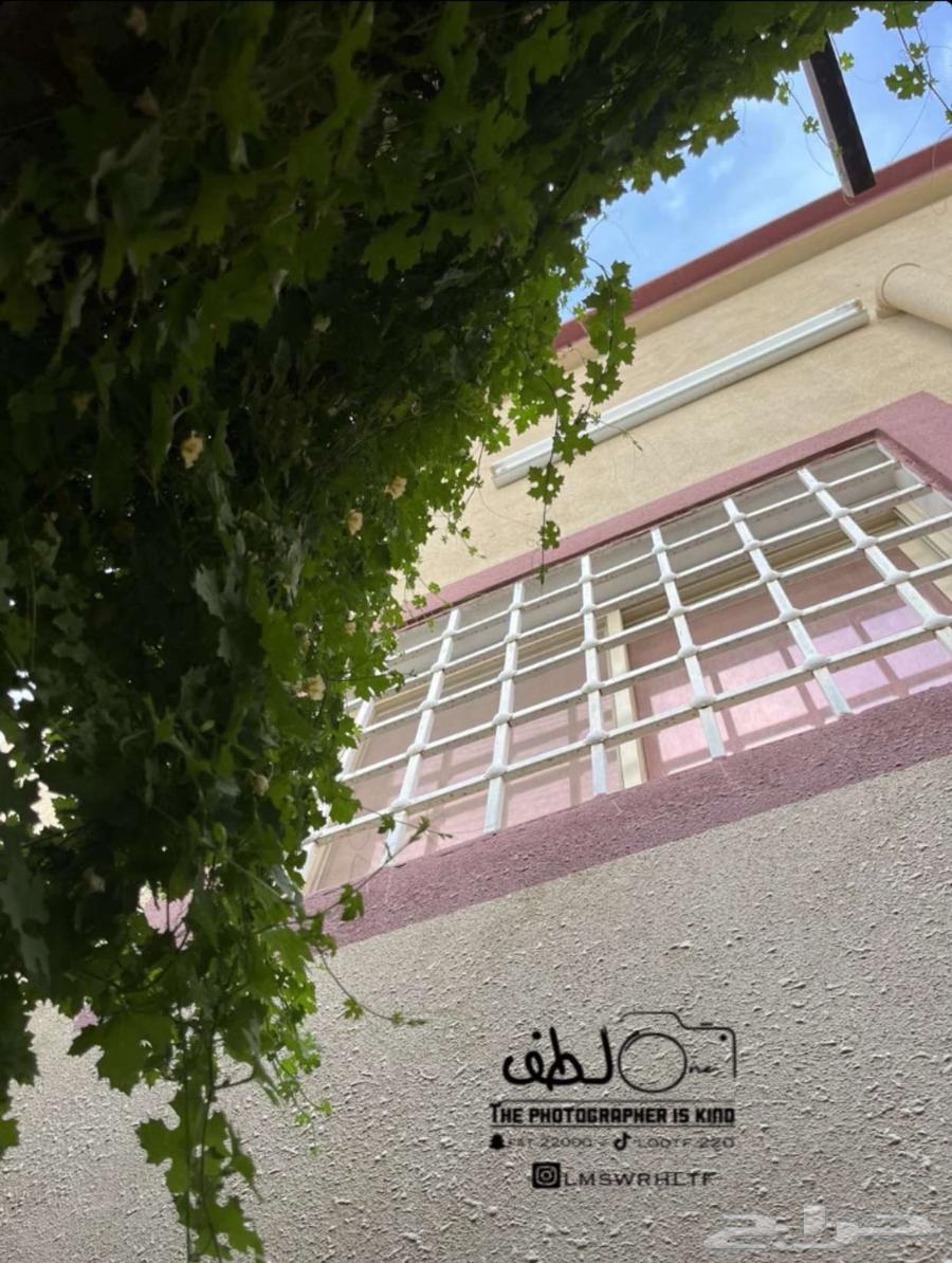كاميرا نيكون63092603127809112