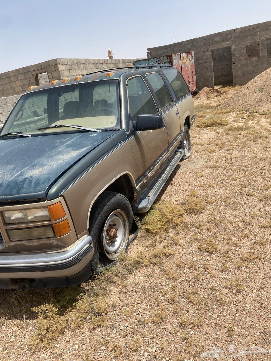 Buffalo sales dismantling Muscat's number 363142195009153111