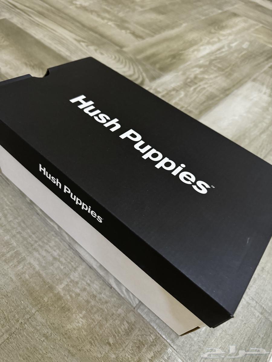 New Shoes (formal shoes) Hush Puppies630933571406091122