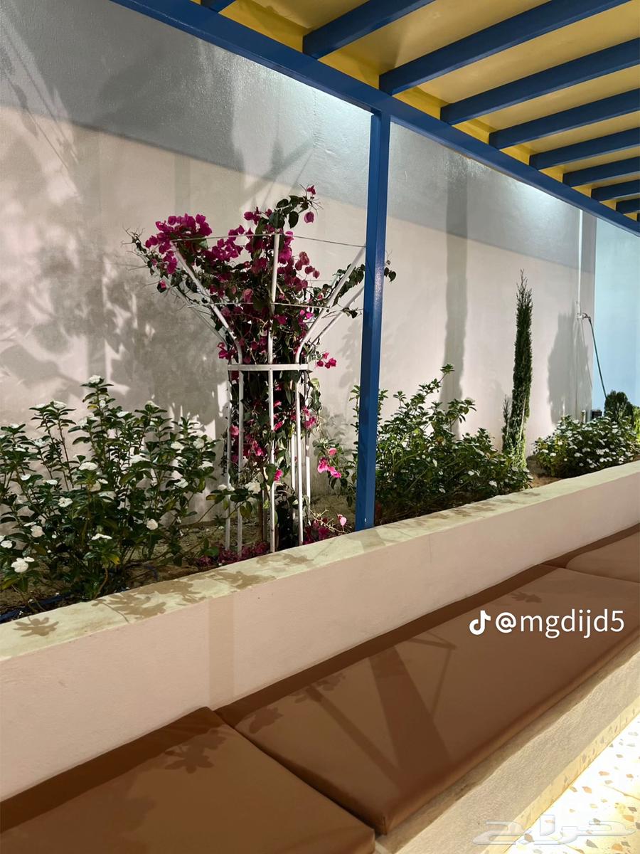استراحة يونان الميه على طريق الميه62931690070530112