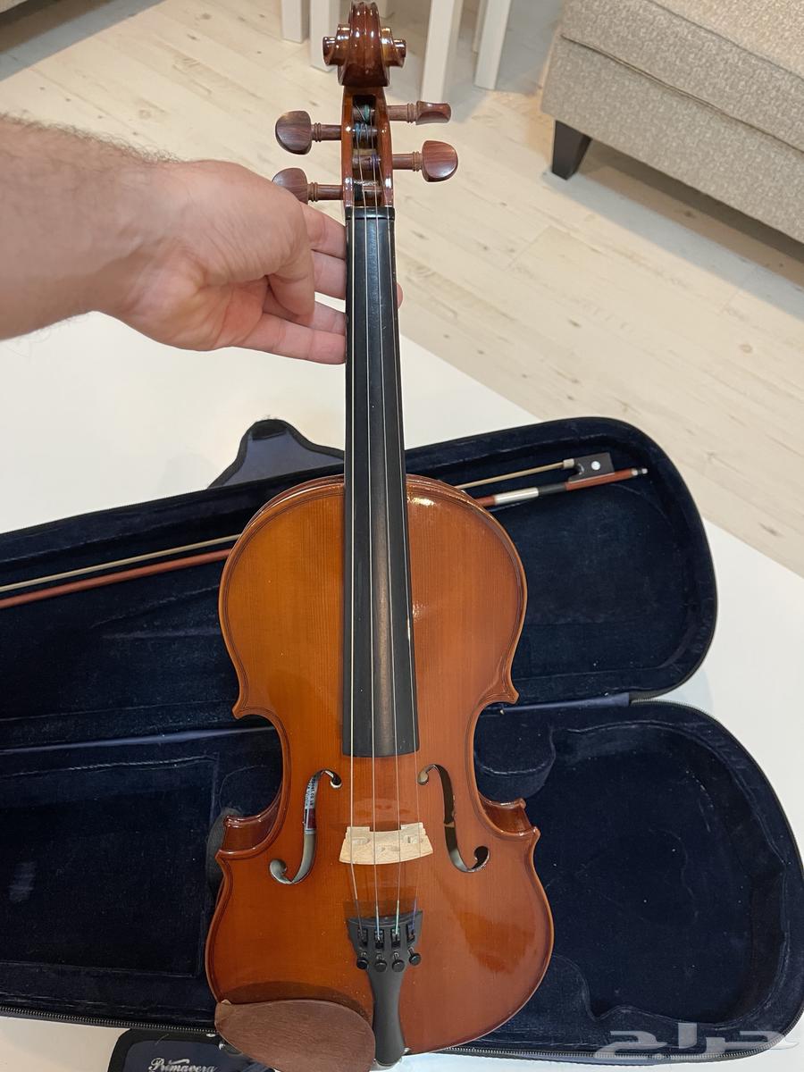 كمان موسيقي Violin63476289234563117