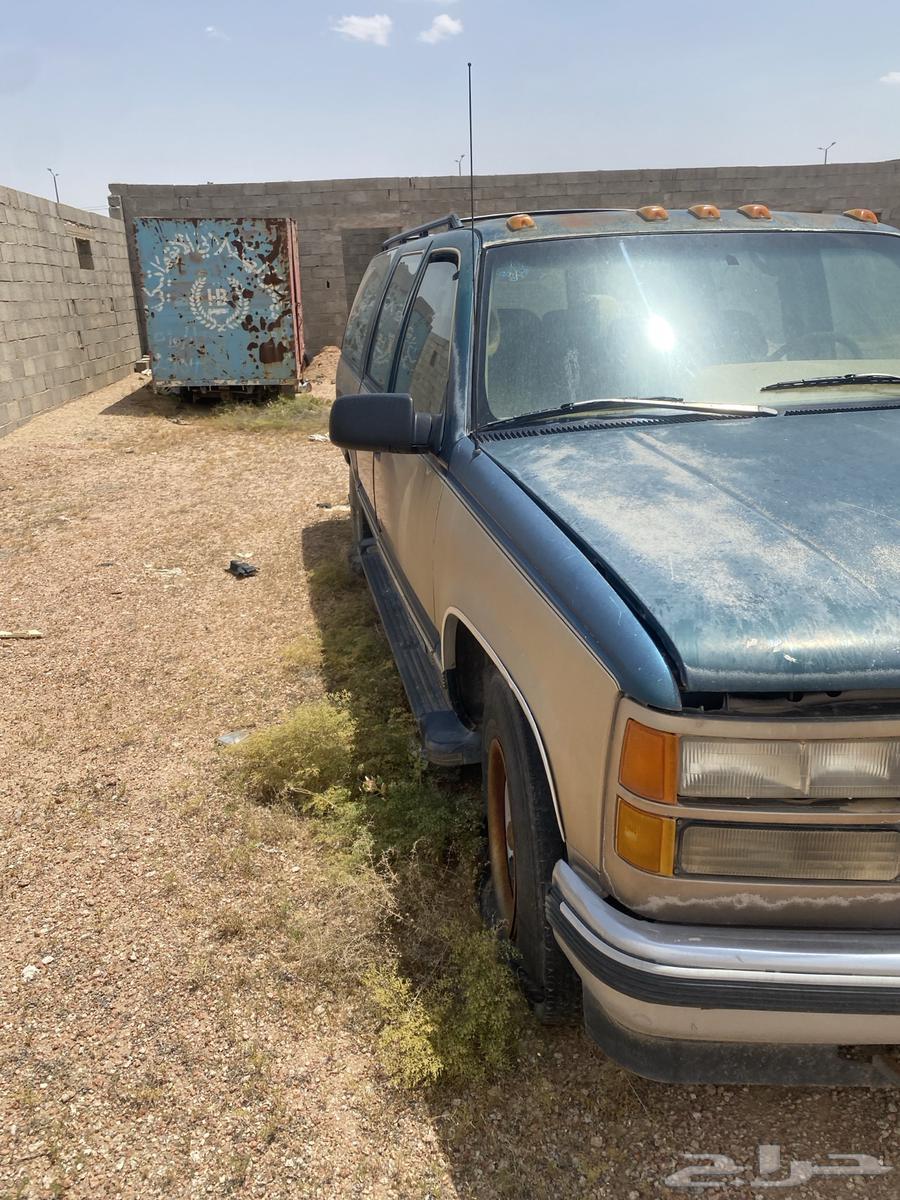 Buffalo sales dismantling Muscat's number 363142195009153112