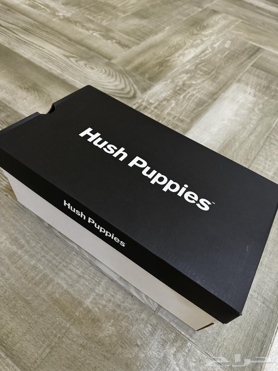 New Shoes (formal shoes) Hush Puppies63093357140609114