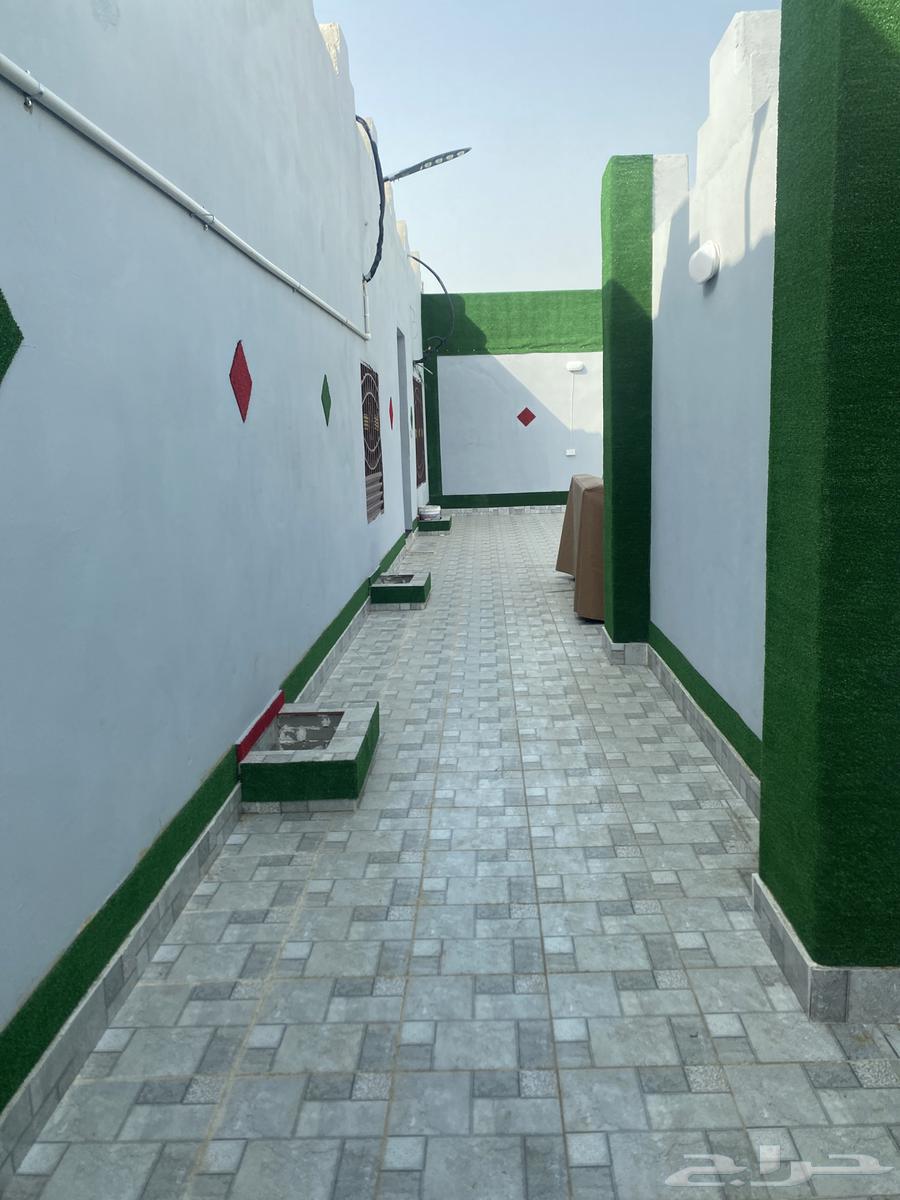 استراحة وشاليهات للإيجار62931690750083113