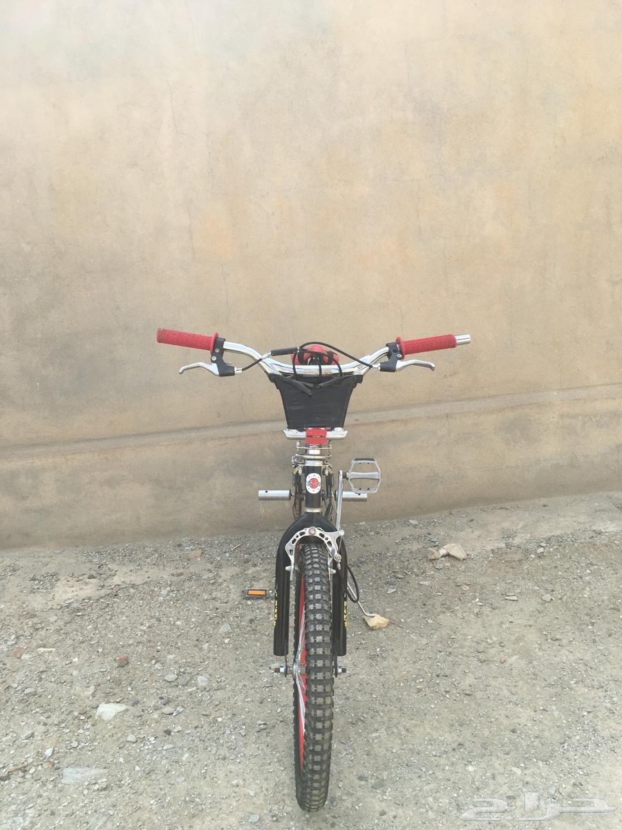 Cobra bicycle 20 inch, no complaints.63093750110465111
