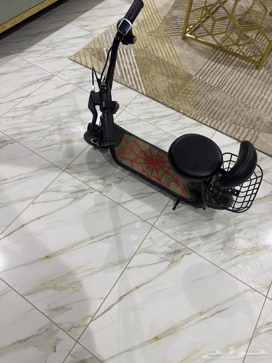 القفده حلي63091914290817111