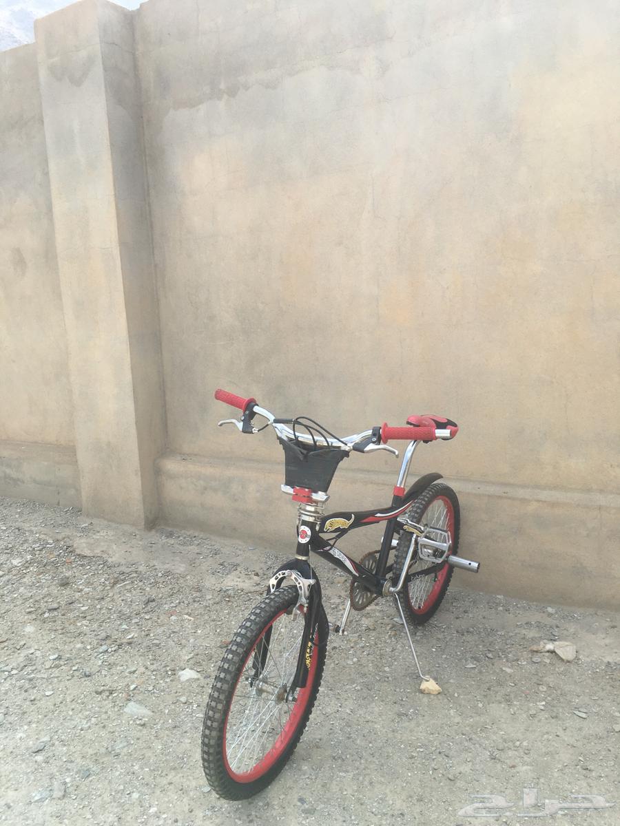 Cobra bicycle 20 inch, no complaints.630937501104651115
