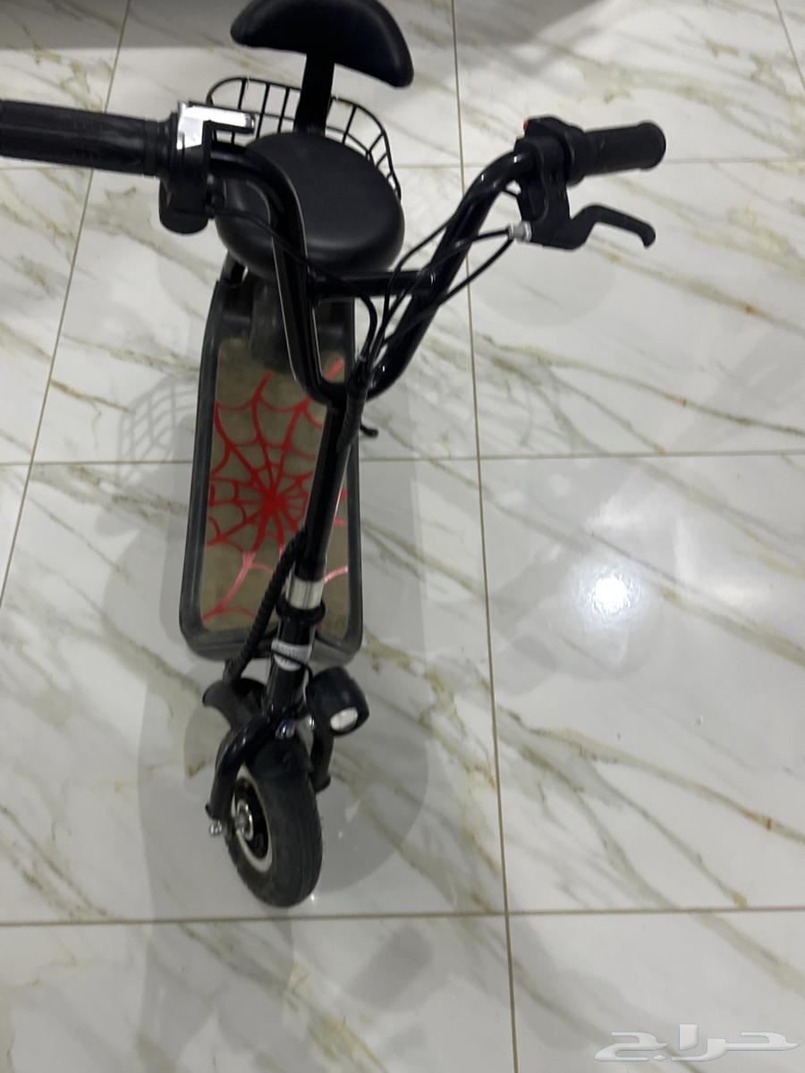 القفده حلي63091914290817112