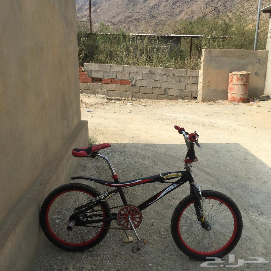 Cobra bicycle 20 inch, no complaints.63093750110465113
