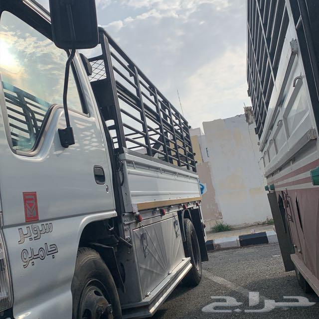 دينه محايل عسير63138313010689113
