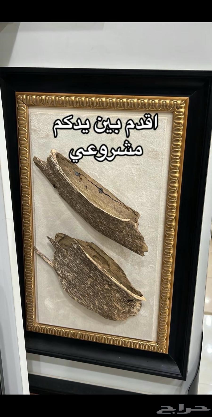 A unique mural on the wall, inside it is a broken piece of fine wood.630926124871691119