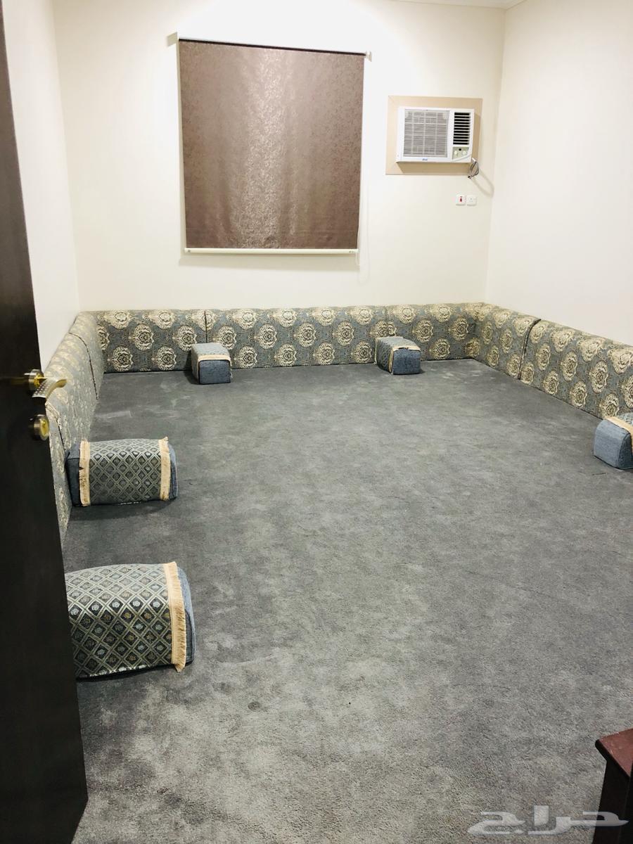 شقق مفروشة للايجار نجران - حي العريسة63012022999298113