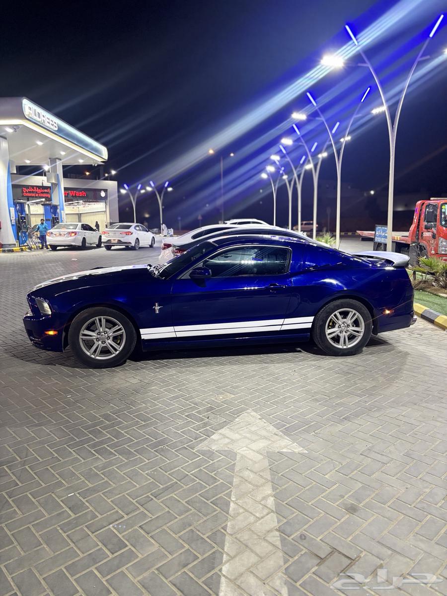 Mustang 6V 2014 model premium63138321248385114