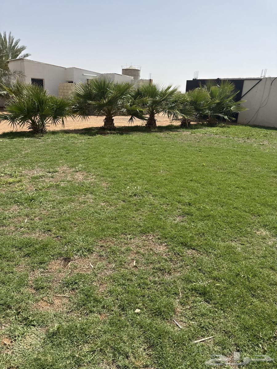 منتجع سحاب الموقع القاعد62933700593665112