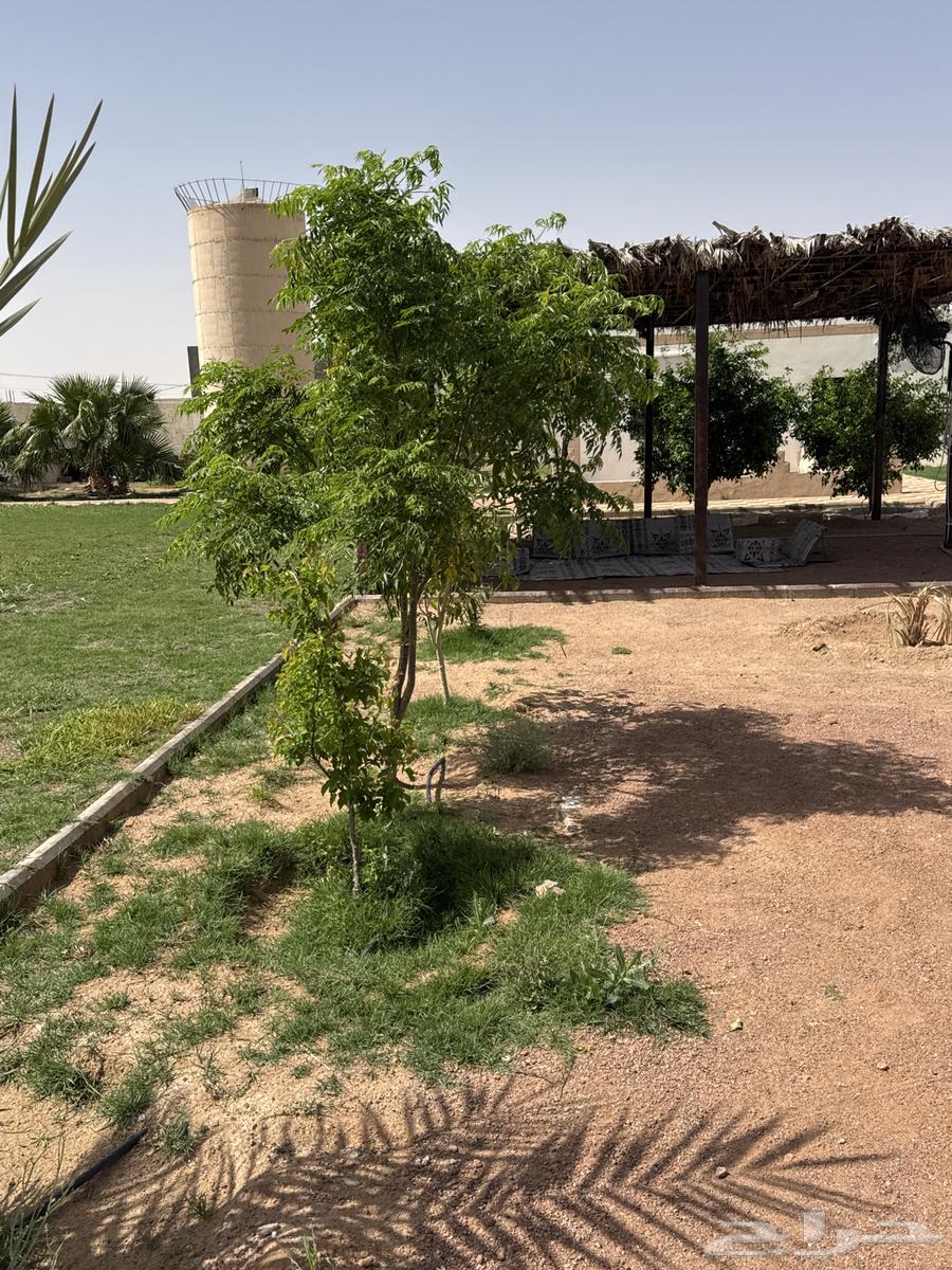 منتجع سحاب الموقع القاعد62933700593665113