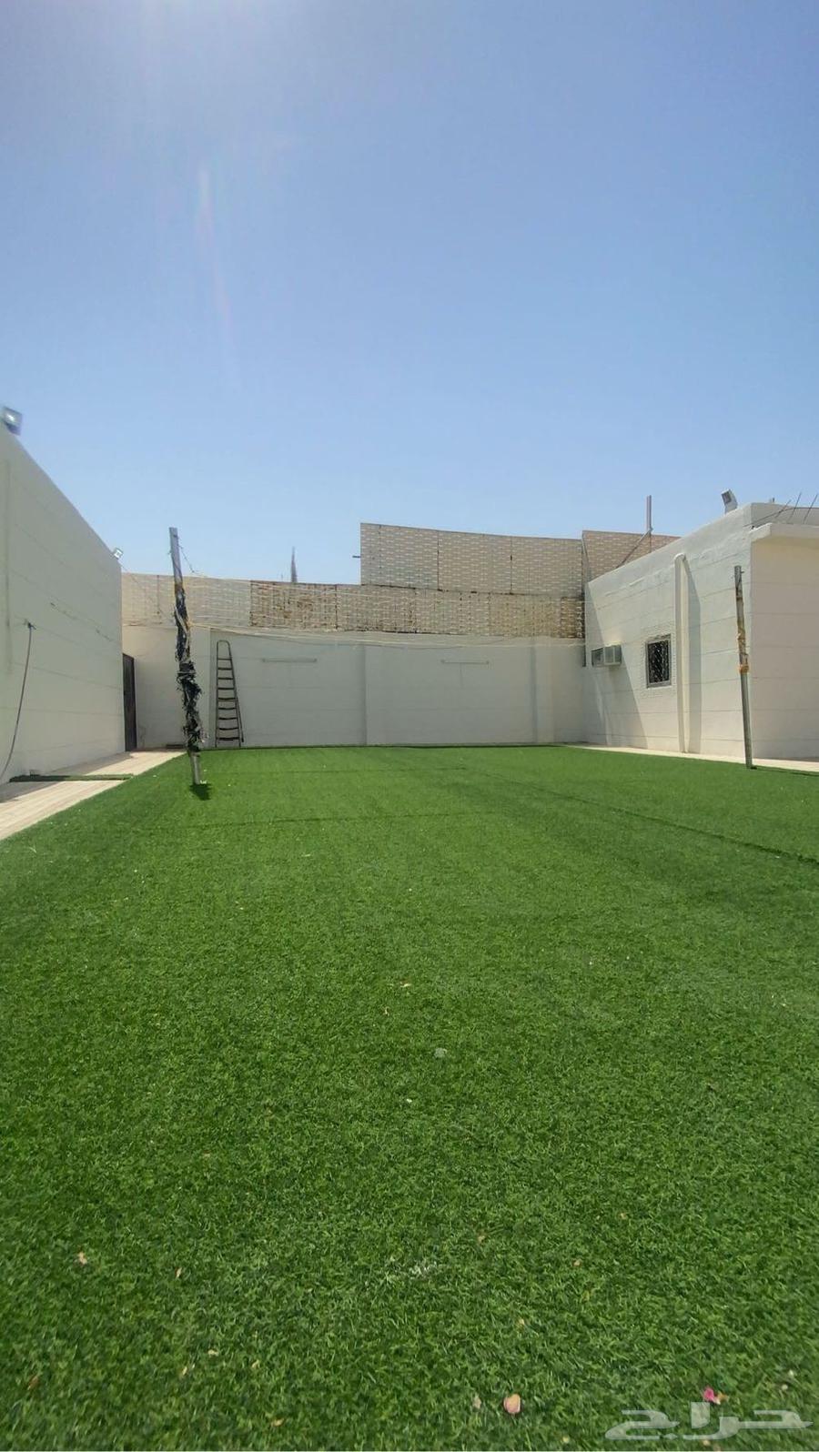 الطايف السر شلهات منتهى الفخامة62931692320769111