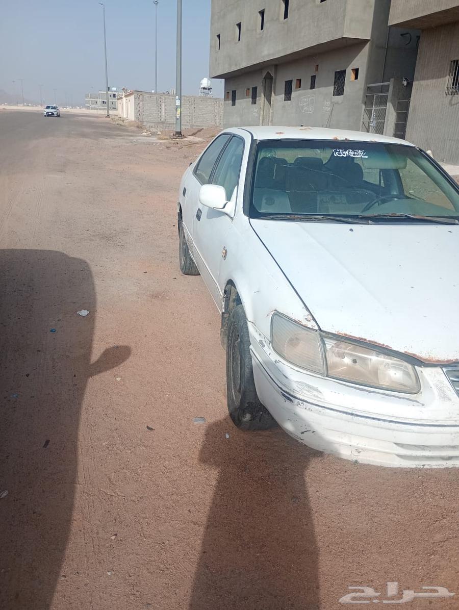 Camry model 199963138325295362111