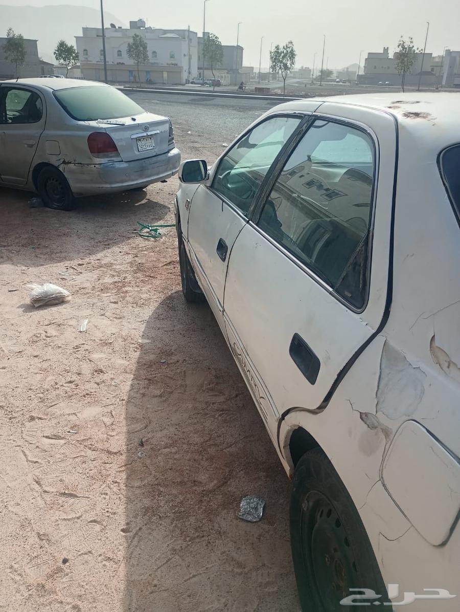 Camry model 199963138325295362114