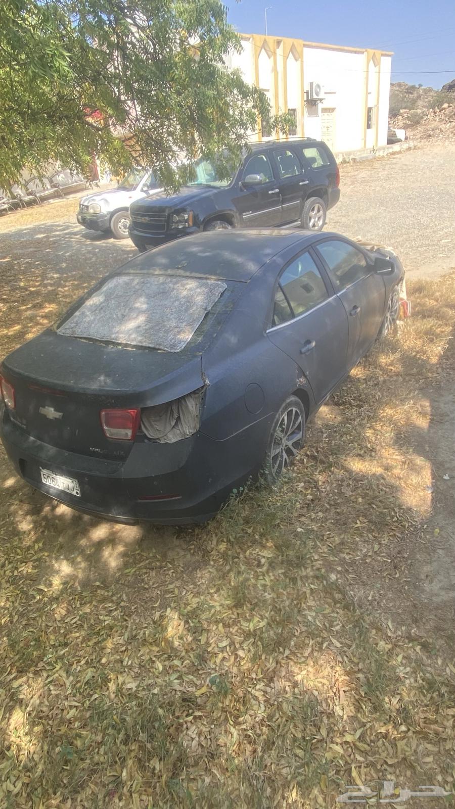 Malibu 201363134511766402111
