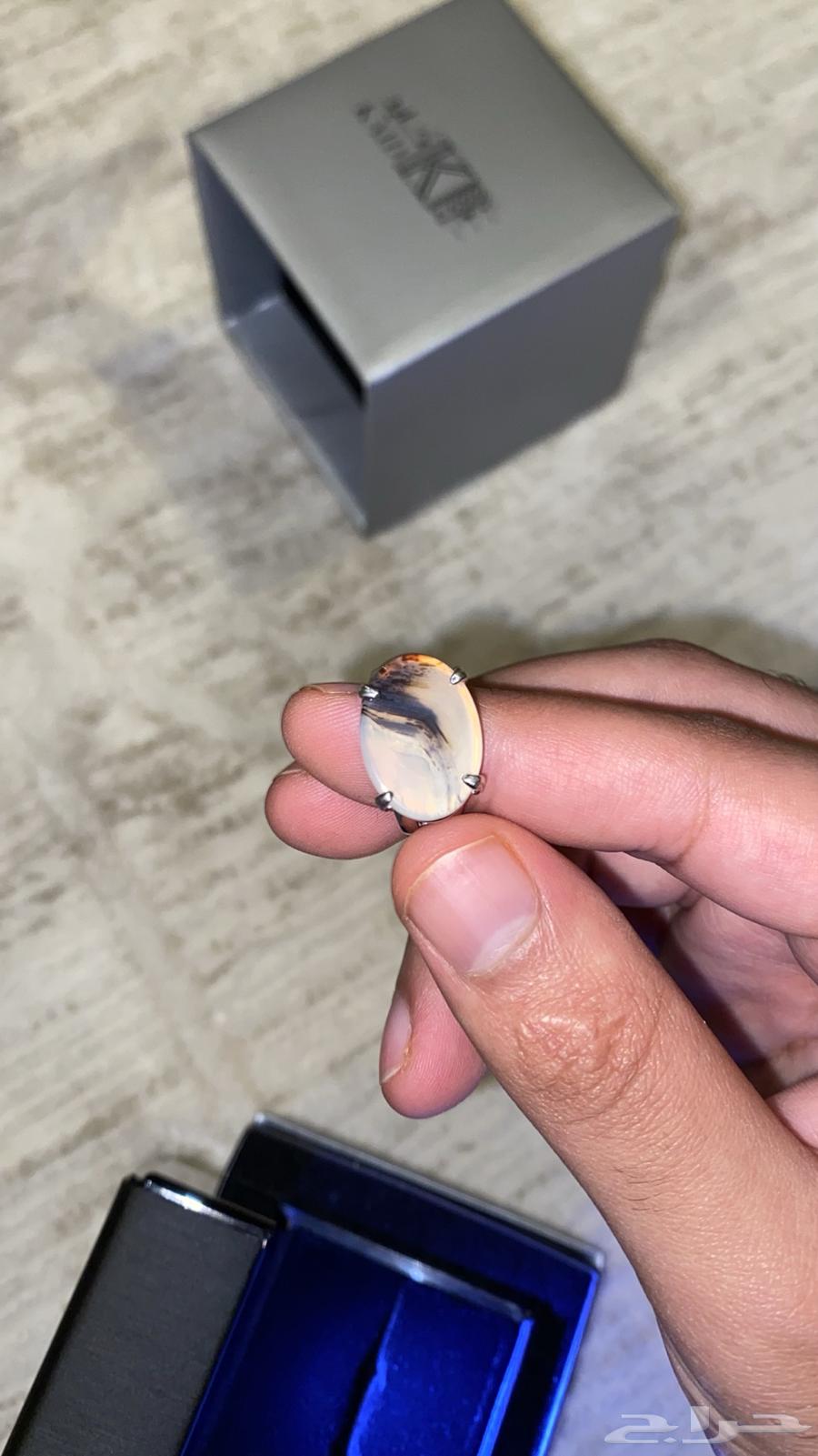 Royal Ring Claws Silver Agate Wavy Stone63088760755585111
