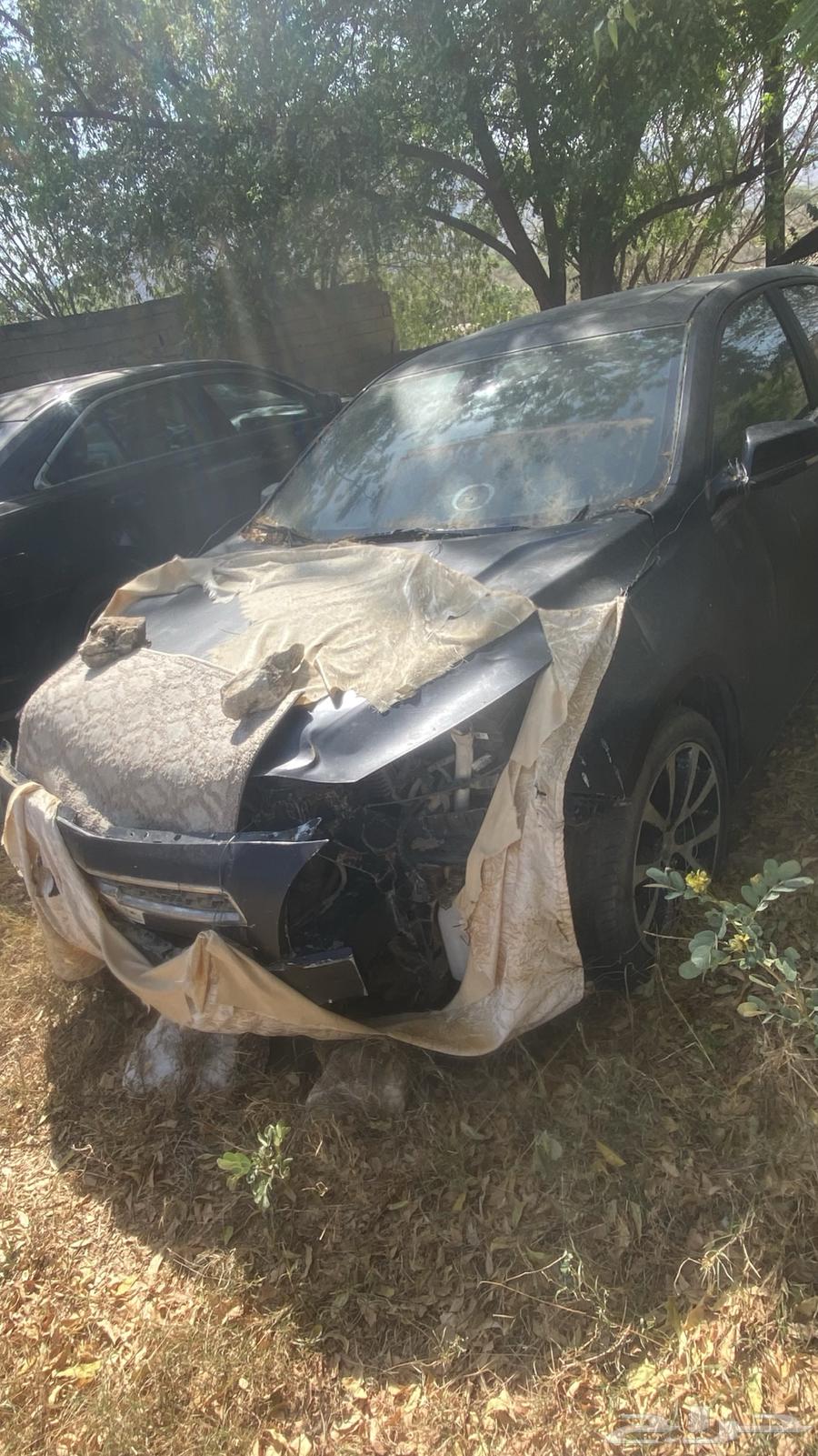 Malibu 201363134511766402112