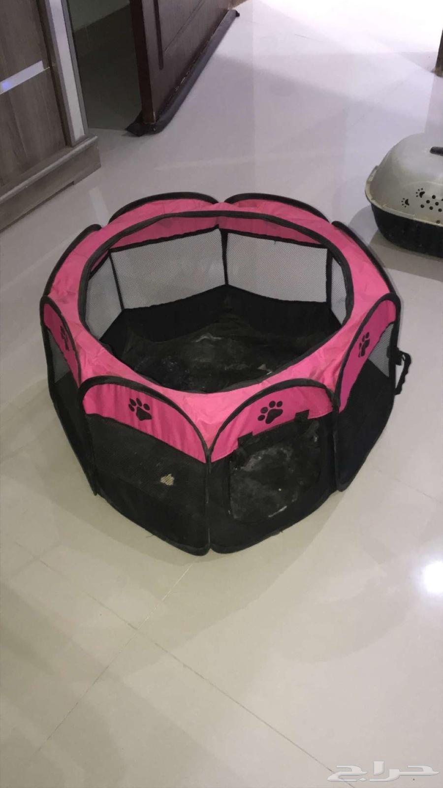 مستلزمات قطط63088366114049113