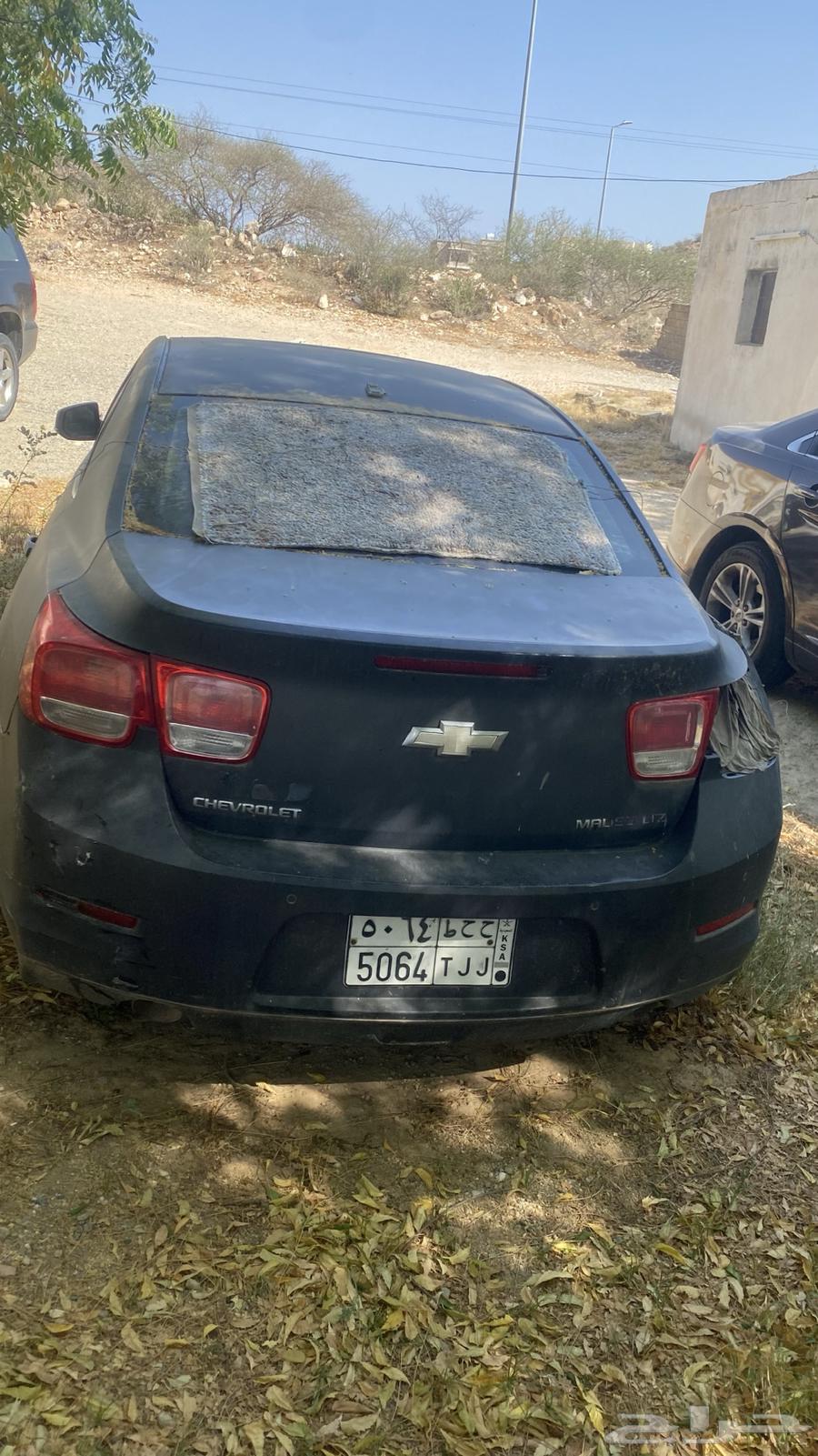Malibu 201363134511766402110