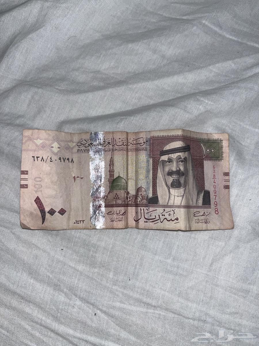 100 dollars63086365278081110