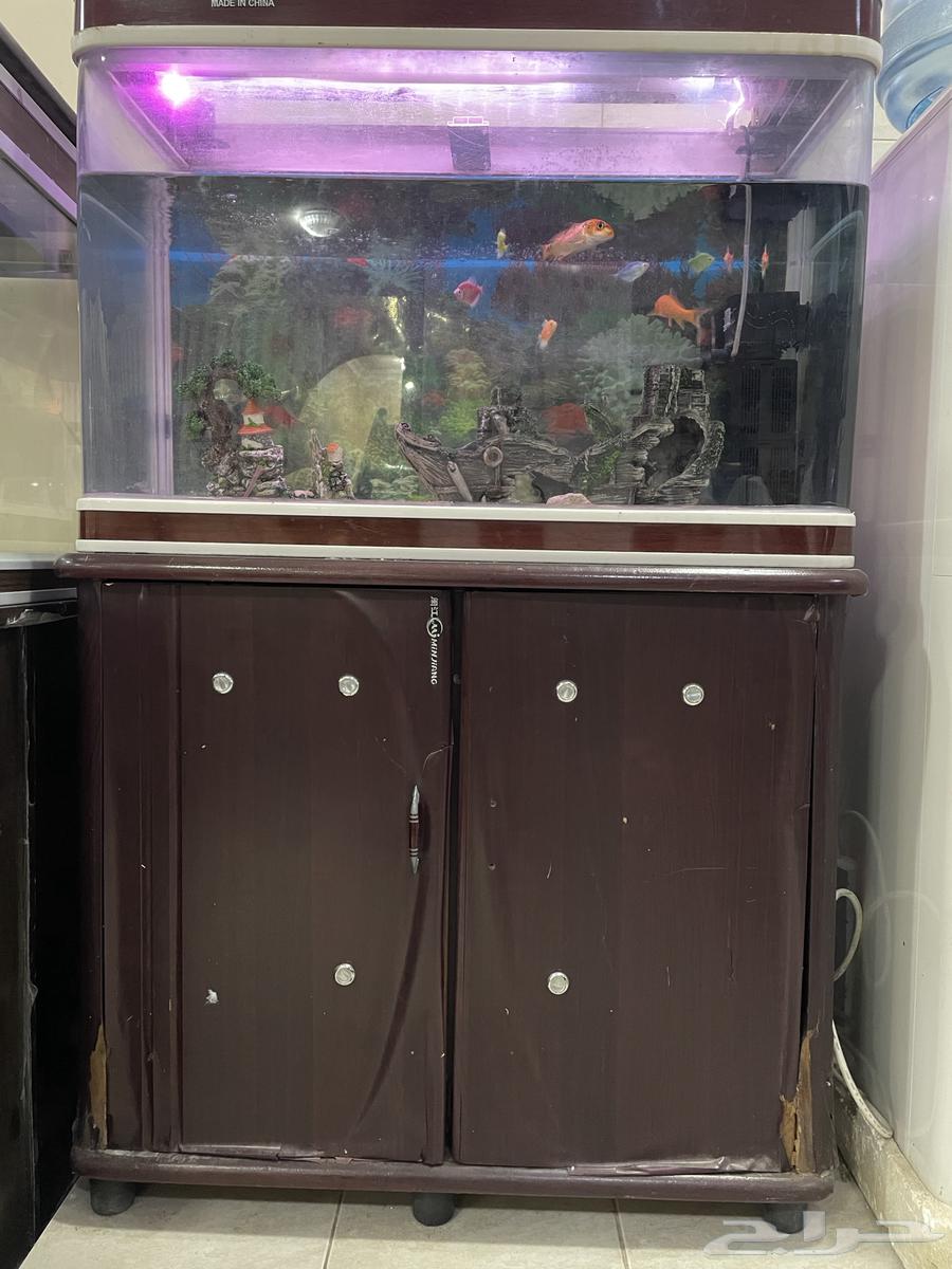 Fish tank for sale63088745744385112